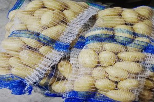 Potato from Pakistan